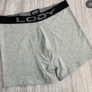 LODY 742 GRIS